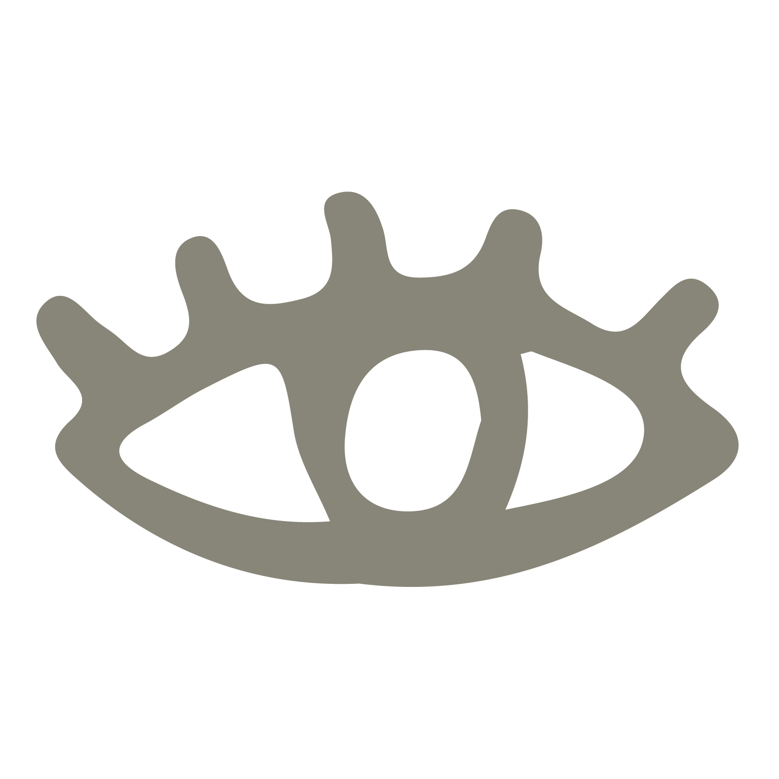 Oeil Logo Nais